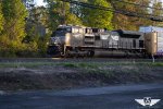 NS 1177